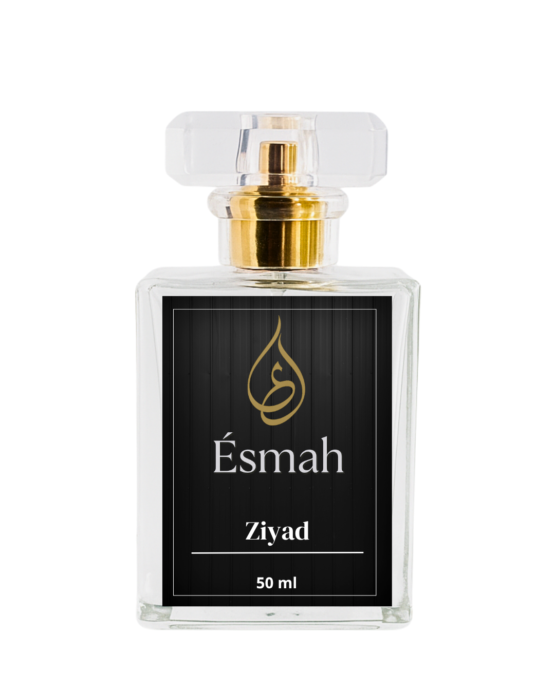 Ziyad – A Nod to Zarar