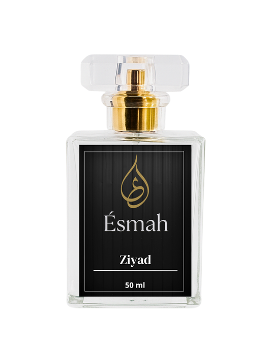 Ziyad – A Nod to Zarar